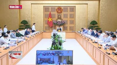 Kế hoạch thực hiện quy hoạch điện VIII phải khả thi, hiệu quả