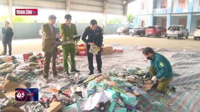 Ninh Bình tiêu hủy số lượng lớn hàng hóa vi phạm hành chính