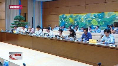 Bảo đảm chất lượng trong xây dựng, ban hành văn bản quy phạm pháp luật