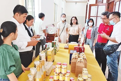 Đánh giá, xếp loại sản phẩm OCOP trên địa bàn tỉnh Tiền Giang.