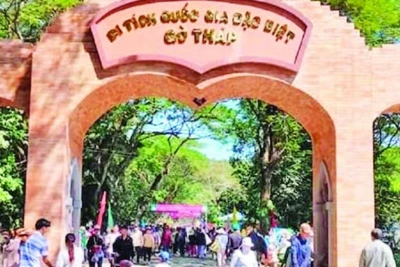 Du khách tham gia lễ hội Gò Tháp.