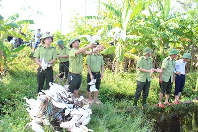 Lực lượng chức năng Nghệ An thả chim trời do các đối tượng săn bắt bị thu giữ về thiên nhiên.