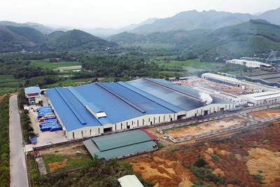 Nhà máy chế biến gỗ của Công ty TNHH Lechenwood tại Khu công nghiệp Thanh Bình. (Ảnh TUẤN SƠN)