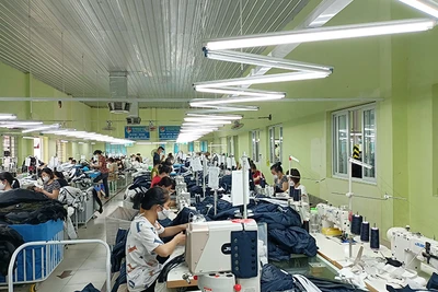 Sản xuất hàng dệt may xuất khẩu tại Tổng công ty cổ phần Dệt Nam Định.