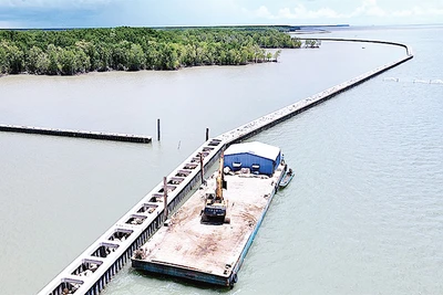 Một công trình kè bảo vệ bờ biển tại Cà Mau.