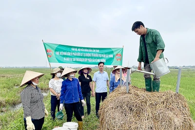 Hướng dẫn kỹ thuật sản xuất phân bón hữu cơ cho nông dân huyện Lâm Thao, tỉnh Phú Thọ. (Ảnh ĐỨC THUẬN)