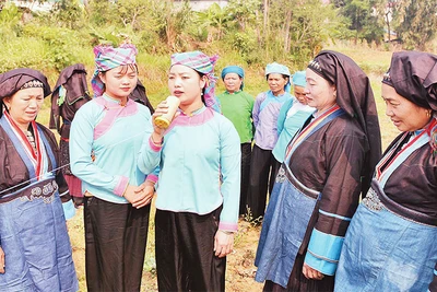 Hát ống là hình thức sinh hoạt văn hóa - âm nhạc khá phổ biến trong cộng đồng người Pú Nả, trải qua thời gian, tục hát này đang dần mai một. 