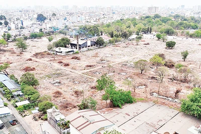 Công tác bốc mộ tập trung giai đoạn 1 Dự án di dời nghĩa trang Bình Hưng Hòa (quận Bình Tân) đã hoàn tất. (Ảnh THẾ ANH) 