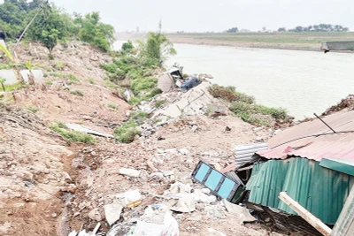Sự cố sạt lở bờ sông Đuống.