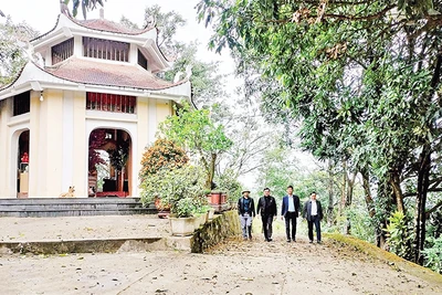 Con đường Thiên lý xưa men theo dãy núi Tam Điệp chừng 7 km. (Ảnh ĐỨC THUẬN)