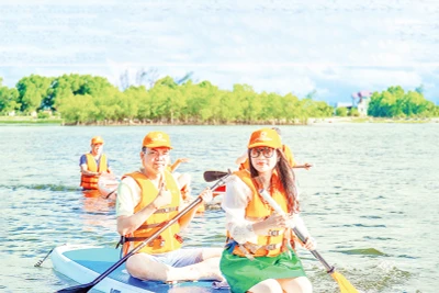 Du khách tham quan, khám phá rừng ngập mặn Rú Chá, xã Hương Phong, thành phố Huế bằng thuyền SUP.