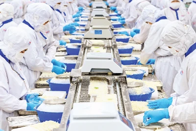 Chế biến tôm xuất khẩu tại Công ty cổ phần chế biến thủy sản Tài Kim Anh, Khu công nghiệp An Nghiệp, xã An Hiệp, huyện Châu Thành, tỉnh Sóc Trăng. (Ảnh ANH KIM)