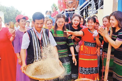 Du khách trải nghiệm giã gạo tại Ngày hội kết bạn cộng đồng của người M’nông tại huyện Bù Đăng, tỉnh Bình Phước.
