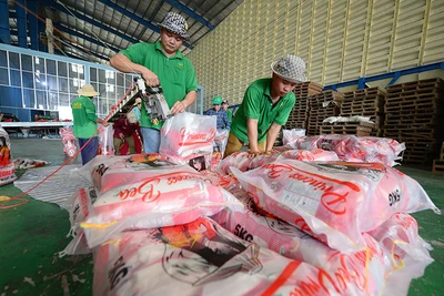 Đóng gói gạo xuất khẩu ở Công ty TNHH Chơn Chính (Đồng Tháp). (Ảnh TRẦN QUỐC)