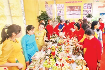 Sản vật làng quê được giới thiệu tại Làng văn hóa kiểu mẫu Hòa Bình, xã Hải Lựu.