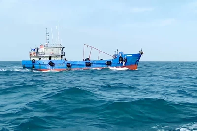 Tàu cá mang số hiệu BV 99889 TS chở khoảng 100.000 lít dầu DO không có giấy tờ chứng minh nguồn gốc hợp pháp của hàng hóa. 