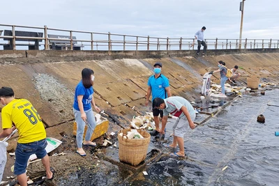 Lực lượng cán bộ, đảng viên và nhân dân tham gia thu gom rác ở thành phố Phú Quốc.