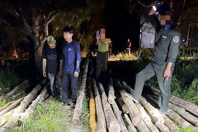 Hai trong số các đối tượng khai thác lâm sản trái phép bị lực lượng chức năng bắt giữ. (Ảnh: Kiểm lâm cung cấp).