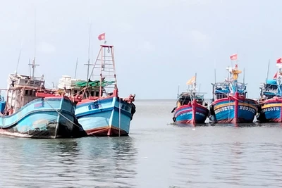 Tàu khai thác hải sản đậu tại cửa biển thành phố Rạch Giá, tỉnh Kiên Giang.