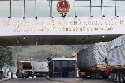 Hoạt động xuất, nhập khẩu qua cửa khẩu quốc tế đường bộ số II Kim Thành, Lào Cai