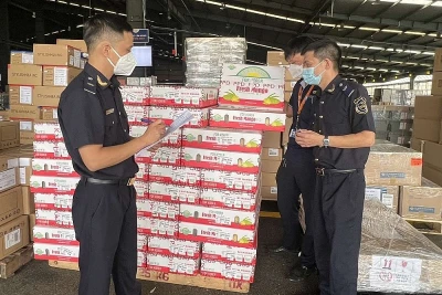 Công chức hải quan Thành phố Hồ Chí Minh làm thủ tục cho hàng hóa xuất, nhập khẩu.