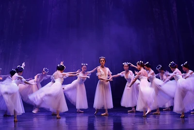 Vở Giselle sẽ trở lại với khán giả Thành phố Hồ Chí Minh trong hai ngày 20 và 21/10. (Ảnh HBSO).