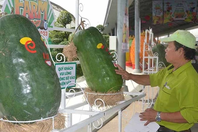Lễ hội trái cây Nam Bộ giới thiệu nhiều trái cây độc lạ.