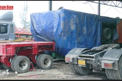 [Video] Doanh nghiệp vận tải khốn đốn vì không thể đăng kiểm phương tiện