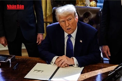 [Video] Tòa án Mỹ cho phép chính quyền Tổng thống Donald Trump giải thể USAID