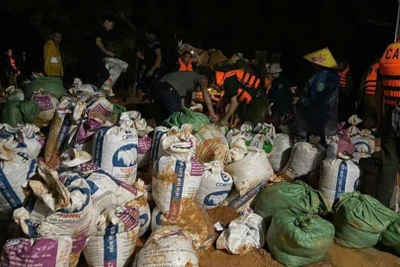 Vỡ đê sông Lô tại Tuyên Quang: Người dân và các lực lượng chức năng cùng triển khai ứng phó 