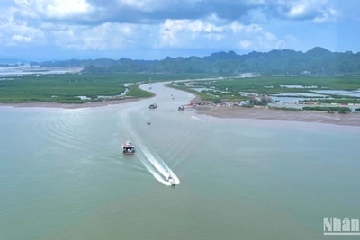 Cộng đồng chung tay góp phần bảo vệ màu xanh của biển. 