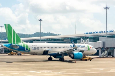 Theo số liệu mới nhất từ Cục Hàng không việt Nam (Bộ Giao thông vận tải), tỷ lệ đúng giờ trung bình của các hãng không Việt trong tháng 11/2024 đạt 68%, trong đó hãng bay đúng giờ nhất là Bamboo Airways.