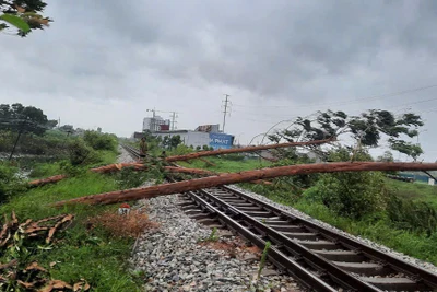 Cây đổ trên tuyến đường sắt Hà Nội - Đồng Đăng. 
