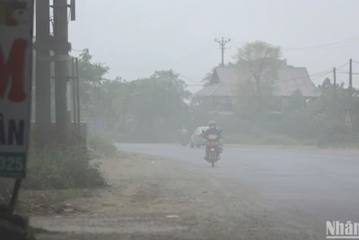 Theo Tiến sĩ Hoàng Dương Tùng, Chủ tịch Mạng lưới không khí sạch Việt Nam, thời tiết khô hanh chỉ đóng vai trò “khuếch tán” tình trạng ô nhiễm không khí. Nguyên nhân cốt lõi phải kể đến các nguồn phát, bao gồm khói thải từ giao thông, bụi từ các công trình xây dựng và nạn đốt rơm rạ ở khu vực ngoại thành.