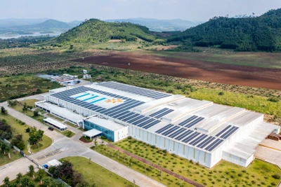 Con đường xanh bền vững từ những cánh đồng tại miền tây Nghệ An