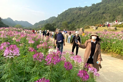 Khu du lịch Thung Nham (Ninh Bình) thu hút khá đông khách thăm quan trong tháng 3/2023.