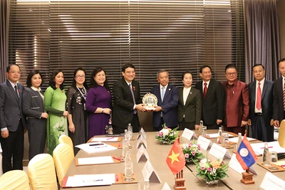 Chủ tịch Hội Hữu nghị Việt Nam-Lào Nguyễn Đắc Vinh và Chủ tịch Hội Hữu nghị Lào-Việt Nam Boviengkham Vongdala tại buổi tiếp. (Ảnh: Trịnh Dũng)