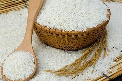 [Video] Ấn Độ chấm dứt lệnh hạn chế xuất khẩu, giá gạo lao dốc