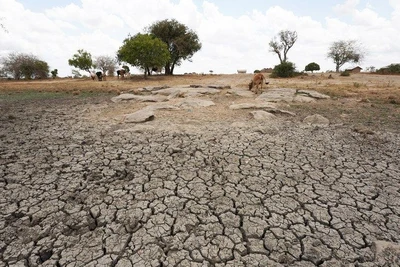 Một cánh đồng khô hạn tại Kenya. (Ảnh: Tân Hoa Xã)