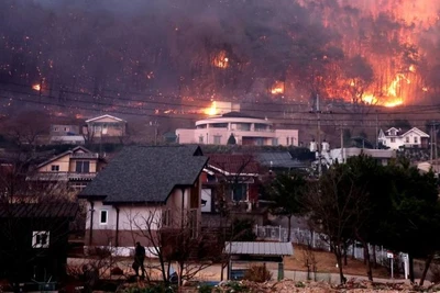 Bức ảnh chụp ngày 25/3/2025 cho thấy đám cháy rừng lan rộng đến các ngôi làng ở Andong, tỉnh Gyeongsang Bắc, Hàn Quốc. (Ảnh: Tân Hoa xã)