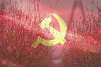 Tình cảm kiều bào dành cho Đảng và mùa Xuân quê hương