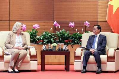 Phó Thủ tướng Chính phủ, Bộ trưởng Ngoại giao Bùi Thanh Sơn tiếp Quốc vụ khanh Bộ Ngoại giao Đan Mạch Lina Hansen. (Ảnh: VGP)