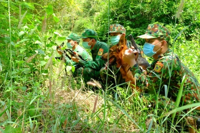 Cán bộ, chiến sĩ Đồn Biên phòng Bù Đốp (Bộ đội Biên phòng tỉnh Bình Phước) mật phục bắt các đối tượng buôn lậu qua biên giới.