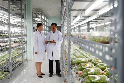 Phòng nuôi cấy mô hoa lan, Khu Nông nghiệp công nghệ cao Thành phố Hồ Chí Minh.