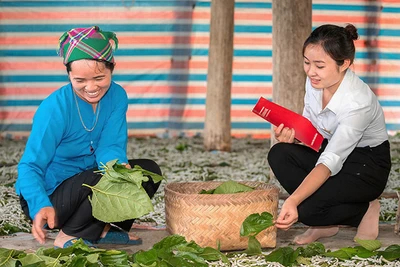 Nhân viên bảo hiểm Agribank tư vấn cho khách hàng.