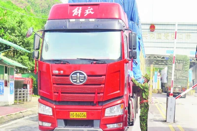 Cán bộ, chiến sĩ Trạm kiểm soát biên phòng (Đồn Biên phòng Chi Ma) kiểm tra, hướng dẫn phương tiện chở hàng.