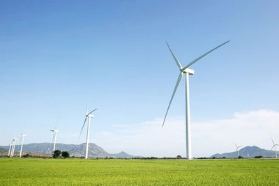 Điện gió Ninh Thuận. (Ảnh: VĂN GIANG)