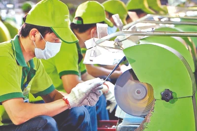 Hơn 95% lao động tại Công ty cổ phần Kềm Nghĩa đã trở lại làm việc.