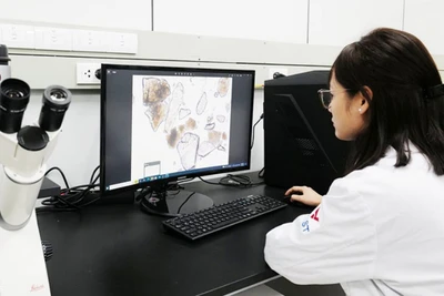 Phòng thí nghiệm của Viện Khoa học và Công nghệ Việt Nam-Hàn Quốc.