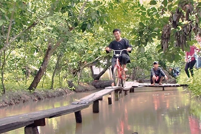 Khách du lịch trải nghiệm đạp xe qua cầu ván tại làng du lịch Mỹ Khánh. 